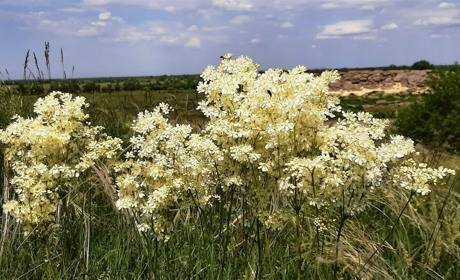 Збирайте компанію та приїжджайте на традиційне свято Івана Купала