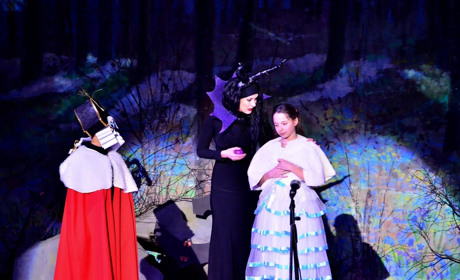 11 січня у Сватовому усі бажаючі зможуть подивитися «Лускунчика» 