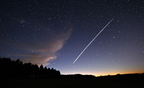 Співробітник фсб вербував мешканку Житомирщини зареєструвати в ЦНАПі на себе Старлінк