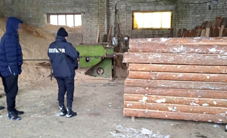 Понад 17 кубів дерева й 25 кілограмів бурштину: у жителів Сарненського району провели обшуки