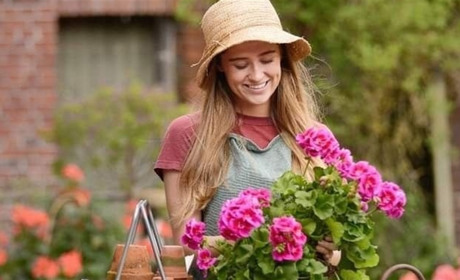 Квітка герані