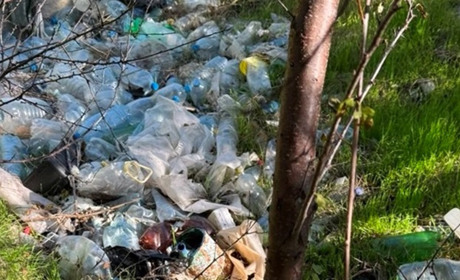 Служба охорони Нижньодністровського НПП виявила незаконний вилов, підпали та стихійне сміттєзвалище