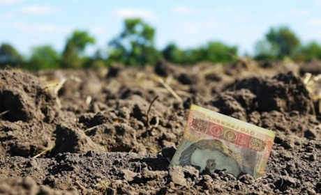 Кого на Житомирщині звільнили від сплати земельного податку, а хто отримає пільги