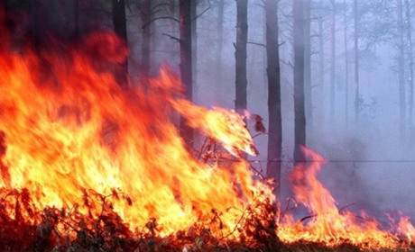 З початку року на Володимиреччині сталося 76 пожеж