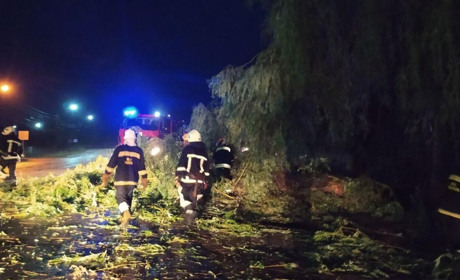 Негода на Житомирщині: за минулу добу рятувальники 9 разів ліквідовували наслідки стихії