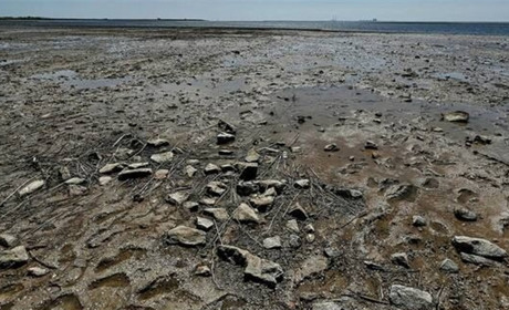 Херсонський зрадник Сальдо «виявив», що Каховського водосховища більше не існує