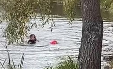 Поліцейські з Прикарпаття у Києві врятували дитину, яка ледь не втопилася