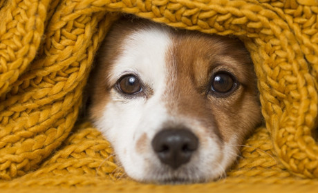 Вночі очікуємо до мінус 18: прогноз погоди на Сумщині та в Україні на 3-5 січня