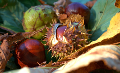 Якою буде погода на Сватівщині у перші дні жовтня: прогноз з 28 вересня по 4 жовтня 2020