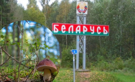 По гриби до сусіда: жителям прикордонних сіл на Сарненщині спростили перетин кордону з Білоруссю