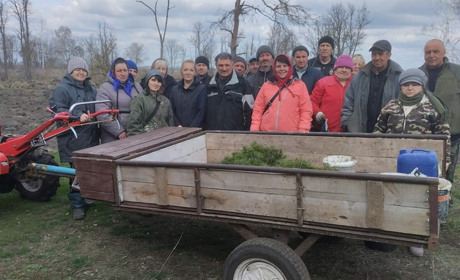 Відновлення лісу: дванадцять тисяч сосен висадили жителі Пристрім на Переяславщині