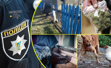 Чужий пес задавив 13 курей жительки Переяславщини, а невідомі обікрали будинок літнього чоловіка