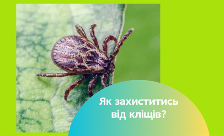 Весна, тепло, відпочинок на природі і… кліщі. Як від них захиститися?