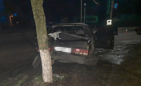 У Веселому  поліція шукає свідків ДТП