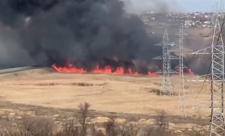 Пожежа в Яськах: вогонь охопив територію 30 соток сухого комишу
