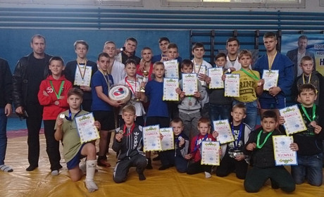Покровські самбісти стали володарями кубка області