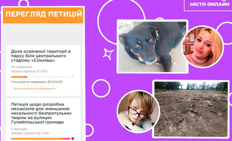 Два звернення, два результати: як «фінішували» петиції до Гуляйпільської міськради