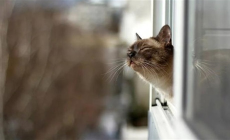 Якою буде погода на Сватівщині з 13 по 19 грудня 2021: прогноз на тиждень