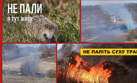 На Кременеччині патрулюватимуть рейдові групи і виявлятимуть паліїв: які штрафи передбачили