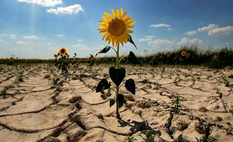 Як відновлюватимуть зрошення на Херсонщині: потрібно 100 мільйонів гривень