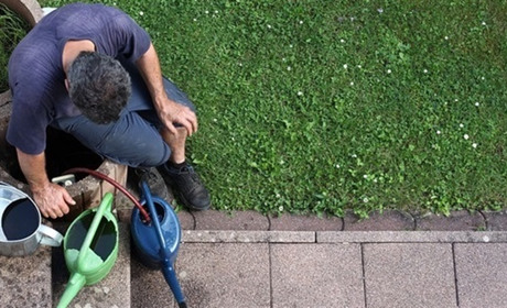 Весняна обробка саду: що потрібно зробити, щоб отримати гарний врожай