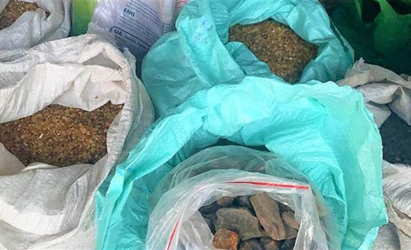 На Сарненщині вилучили понад півтонни бурштину та більше 1000 літрів алкоголю