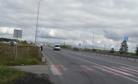 Звягельські поліцейські розшукали причетного до крадіжки кабелів з електроопор