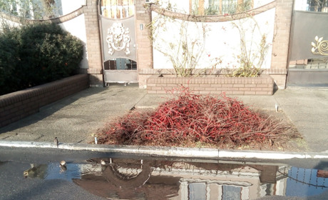 В Україну ідуть морози