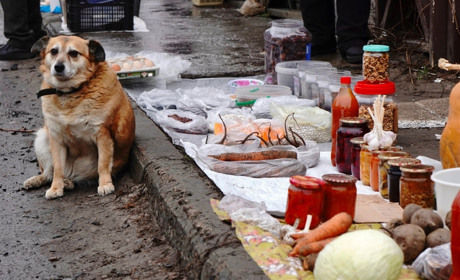 На базарі в Переяславі сезон стабільності: ціни не зростають, покупців мало