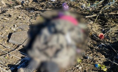 Росіяни вбили жінку на кладовищі в Хотінській громаді