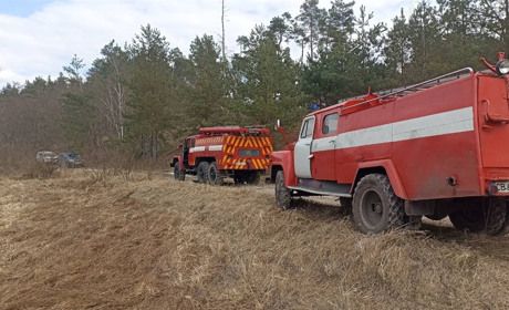 У Блистові через підпали сухостою вигоріло близько 50 гектарів лугу