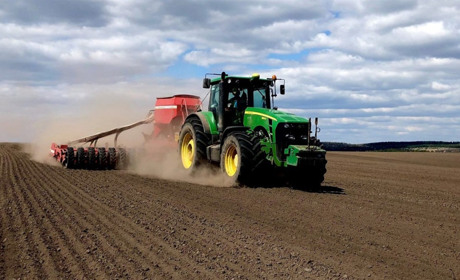 Чи буде Херсонщина з хлібом