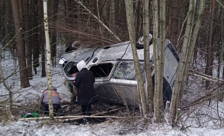 В ДТП на Звягельщині травмувалися двоє дітей та троє дорослих