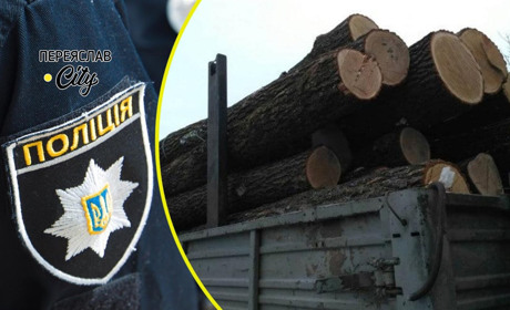 Працівники поліції зупинили чоловіка, який вантажівкою перевозив деревину без дозвільних документів
