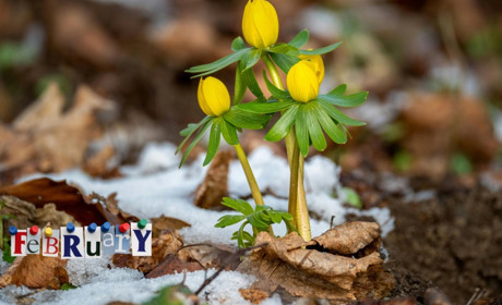 Що зміниться в Україні з 1 лютого 2026 року: головні нововведення місяця