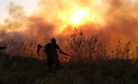 Україна у вогні. Чому ситуація з пожежами погіршується?