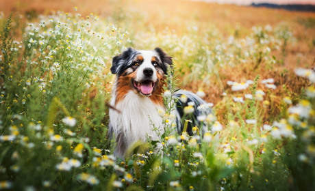 Погода на Сумщині та в Україні: що прогнозують синоптики у найближчі дні