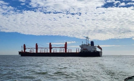 За рік з портів Одещини експортували понад 64 млн тонн продукції