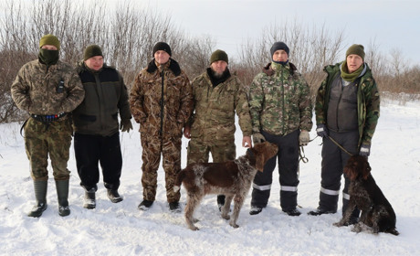 Із турботою про лісових мешканців: як у Петропавлівщині підгодовують диких тварин узимку (ВІДЕО)