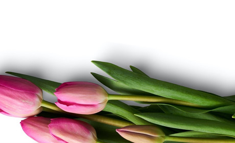 8 березня – «за» та «проти»: як ставляться до свята жителі Кагарличчини