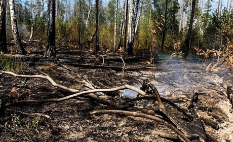 На території Сарненського району горить заповідник: які масштаби пожежі