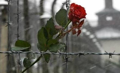 Історії херсонців з-під колючих дротів: що пережили в'язні нацистських концтаборів