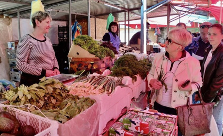 Скільки коштують продукти на ринку "Урожай" у Звягелі: актуальні ціни на овочі, м’ясо, рибу та інше