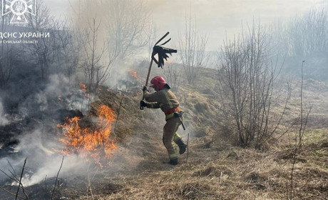Одинадцять пожеж за добу, в тому числі й у Біланах: наслідки спалювання сухої трави