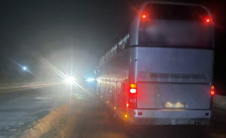 Автобус збив пішохода на трасі Київ – Чоп: слідчі шукають свідків події