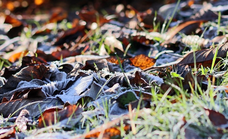 На Луганщині оголосили перший рівень небезпеки через різке похолодання: що мають знати сватівчани