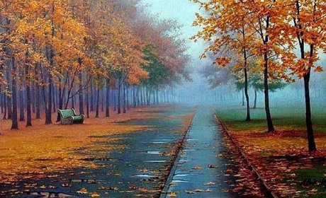 Жовтень прийшов із теплом: прогноз погоди на Сумщині та в Україні