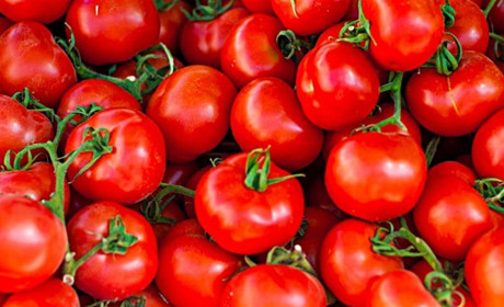 Тест на знание цен на продукты в Бердянске
