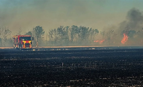 Вогняна доба на Миколаївщині: вигоріло понад 200 гектарів екосистем та полів, є загиблий через БПЛА