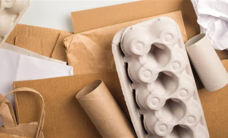 Як зберегти свіжість продуктів харчування: дієві поради для тривалого зберігання